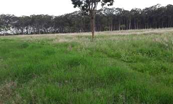 Imagem: Sitio 5.6 alqueires 30 km de Uberlândia