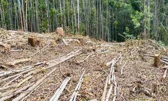 Imagem 3: D7- A qui não tem burocracia, garanta já seu lote