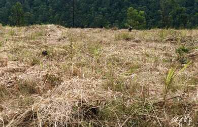 Imagem 7: Vendo terreno de 1000m² próximo a Guarulhos