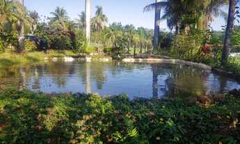 Imagem 2: Chácara para venda no Miranda