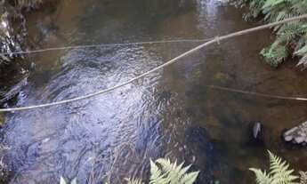 Imagem: Chácara Barra das Cruzes Bocaiúva do Sul