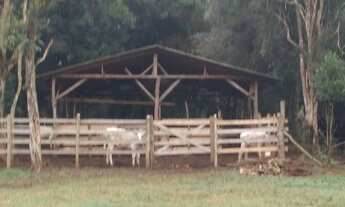 Imagem 3: Chácara Chácara com venda por R$460.000