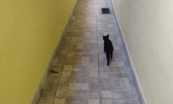 Imagem 6: Eduardo . CASA EM SÃO PAULO NA ZONA SUL, LOCALIZADO NO JARDIM VARGINHA!