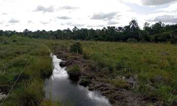 Imagem 3: Chácara 2 Hectares com córrego