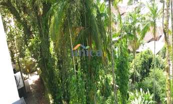 Imagem 3: Terreno - Bairro Saguaçu