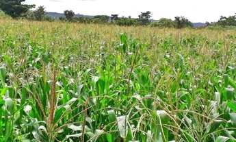 Imagem 5: Fazenda/Sítio/Chácara para venda tem 28000 metros quadrados com 3 quartos