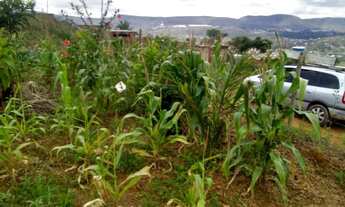 Imagem: Lote 450 m2 ITABIRITO MG