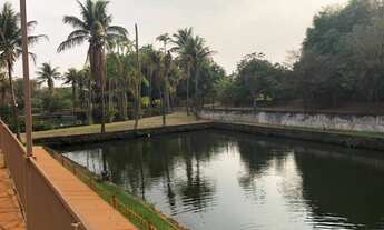 Imagem: Fazenda/Sítio/Chácara para venda com 54000