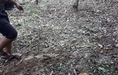 Imagem 2: Somente venda Terreno / lote com venda por R$8.000