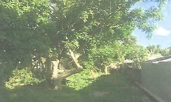 Imagem 3: Lot Cidade Juracy Palhano - Oportunidade Única em JOAO PESSOA - PB | Tipo: Terreno