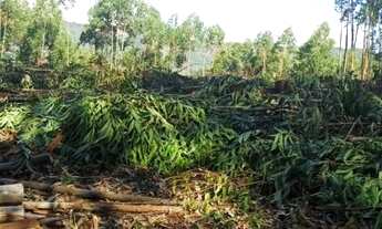 Imagem 2: Lote/Terreno para venda possui 2,500metros quadrados em centro - Salesópolis - São Paulo