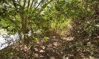 Imagem 5: Chácaras 20 mil Mt com rio das almas últimas unidades