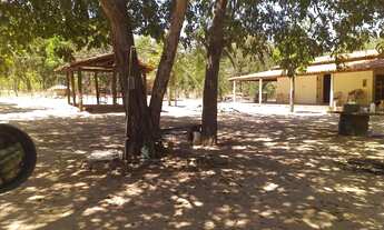 Imagem: SÍTIO NO JARDIM DA AURORA TIMON-MA