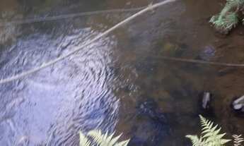 Imagem 6: Chácara Barra das Cruzes Bocaiúva do Sul - PR