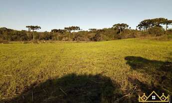 Imagem 6: Sítio / Chácara para Venda em Três Coroas, Serra Grande