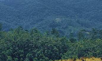 Imagem 2: 03m-Terreno em área rural ###