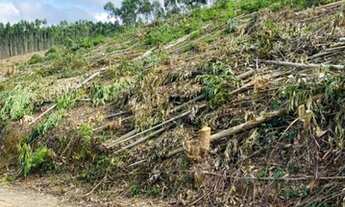 Imagem 4: D7- Realize seu grande sonho