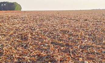 Imagem 4: Fazenda/Sítio/Chácara para venda possui metros quadrados com 4 quartos