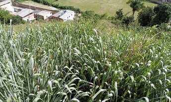 Imagem 3: Terreno à venda, 1098 m² por R$ 350.000,00 - São Damião - Juiz de Fora/MG