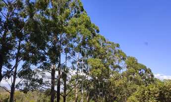 Imagem 6: Área em rio acima