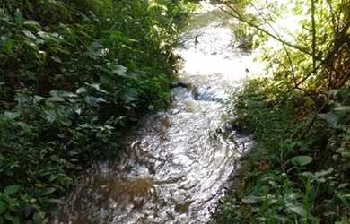 Imagem 3: Chácara a venda na cidade de Londrina PR