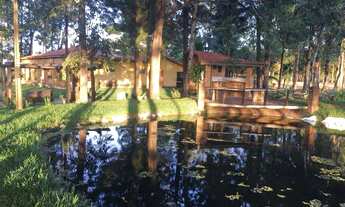 Imagem 6: Chácara com 4 dormitórios à venda, 20000 m² por R$ 790.000 - Mirante Do Paranapanema - Mir