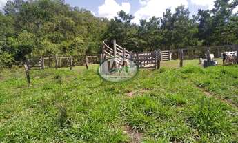 Imagem 2: Fazenda em terras de cultura ótimas para pecuária