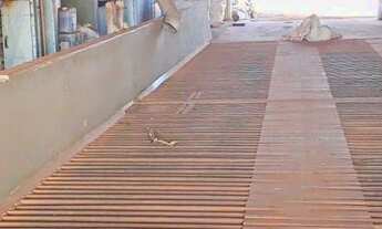 Imagem 3: Fazenda/Sítio/Chácara para venda possui metros quadrados com 4 quartos