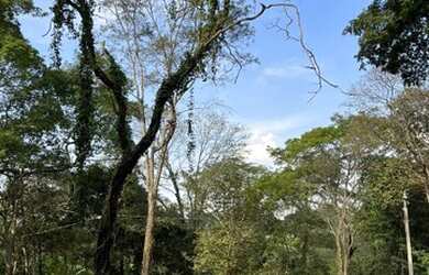 Imagem 3: Chácara em Aparecida de Goiânia