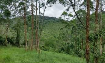 Imagem 7: Bota Fora - Área Rural com 52 Alqueires Região da Fernão Dias