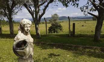 Imagem 3: Felicidade do Campo na Praia