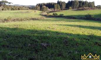 Imagem 4: Sítio / Chácara para Venda em Três Coroas, Serra Grande