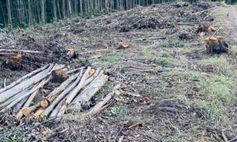 Imagem 4: D7-Fazenda/Sítio/Chácara para venda possui 2,500m² quadrados em aterrado - Salesópolis