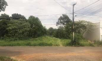 Imagem: PAROBE - ALEXANDRIA - Oportunidade Única