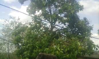 Imagem 6: Terreno abençoado 5x20