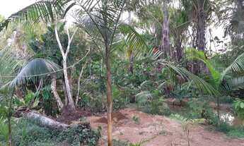 Imagem 3: VENDO TERREINO Terreno / lote com venda por R$35.000