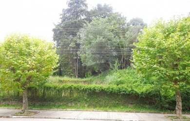 Imagem 7: Terreno para Venda em Campos do Jordão, Capivari
