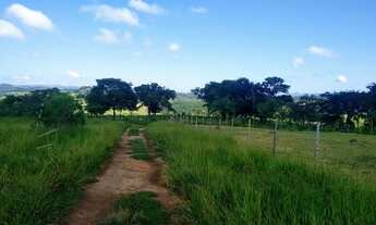 Imagem 3: Chácara em Bonfim