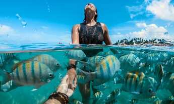 Imagem 9: W- Maikai Porto de Galinhas, última unidade com condições especiais