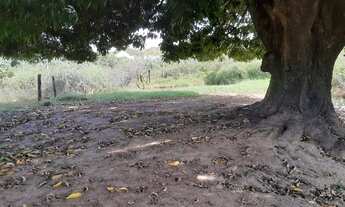 Imagem 3: Fazendinha 121 Hectares !!!Água de Rio!!!Energia Trifásico!!!60 km M Claros!!!