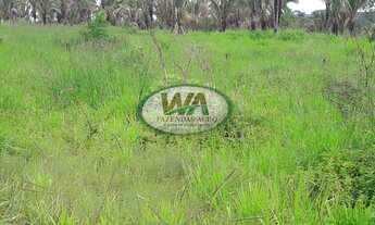 Imagem 6: Fazenda com grande potencial de apascentamento de gado