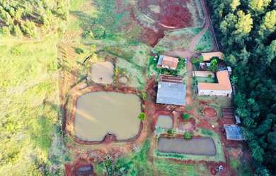 Imagem 4: CHACARA REDEA CURTA ENG BELTRAO - PR 3 ALQUEIRES