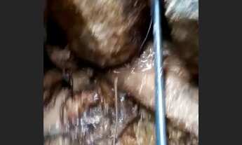 Imagem: Chacara 25mil metros