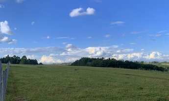 Imagem 3: VENDO CHÁCARA NO DF 5 HECTARES