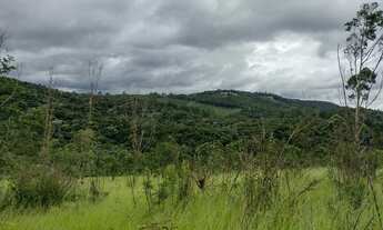 Imagem 3: Bota Fora - Área Rural com 52 Alqueires Região da Fernão Dias