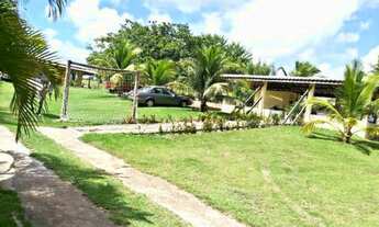 Imagem 6: Sitio com 40.000m² em Barra de pojuca- Porteira Fechada