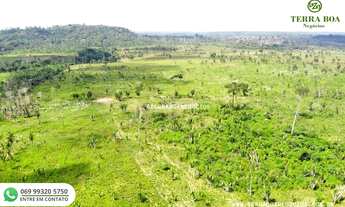Imagem 5: FAZENDA 52,5 ALQUEIRES TODA FORMADA APÓS NOVA MUTUM/RONDÔNIA