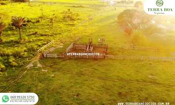 Imagem 3: SÍTIO 35 ALQUEIRES TODO ABERTO JACI PARANÁ/RO