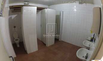 Imagem 12: Salão/Galpão (salão - térreo