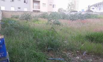 Imagem 4: área - Cambuí - Campinas